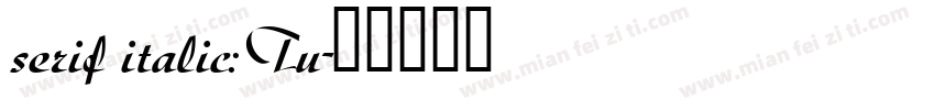 serif italic:Tu字体转换